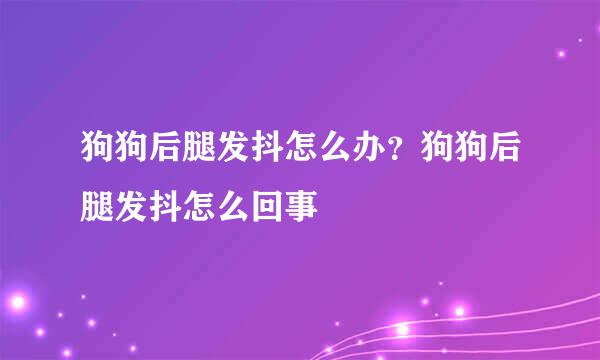狗狗后腿发抖怎么办？狗狗后腿发抖怎么回事