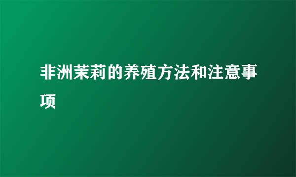 非洲茉莉的养殖方法和注意事项