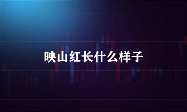 映山红长什么样子