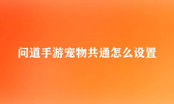 问道手游宠物共通怎么设置