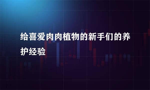 给喜爱肉肉植物的新手们的养护经验