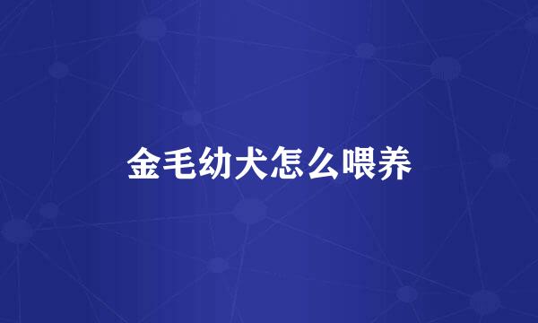 金毛幼犬怎么喂养