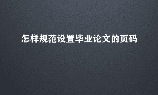 怎样规范设置毕业论文的页码