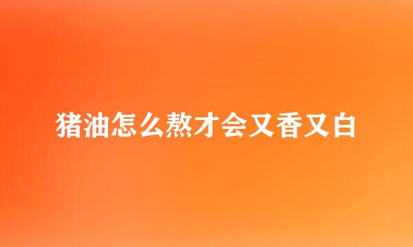 猪油怎么熬才会又香又白