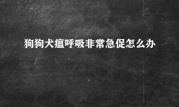 狗狗犬瘟呼吸非常急促怎么办