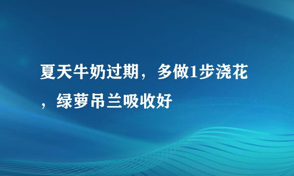 夏天牛奶过期，多做1步浇花，绿萝吊兰吸收好