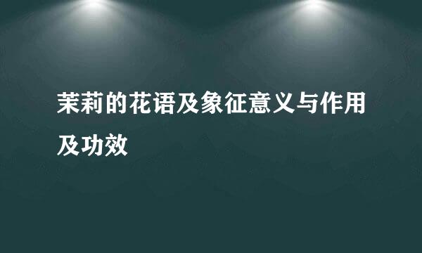 茉莉的花语及象征意义与作用及功效