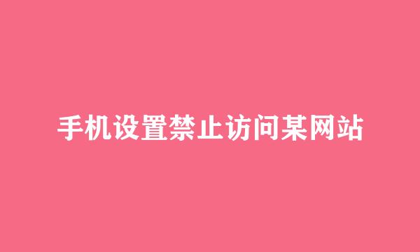 手机设置禁止访问某网站