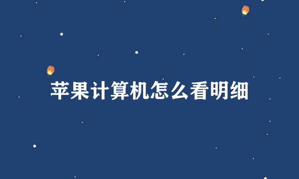苹果计算机怎么看明细