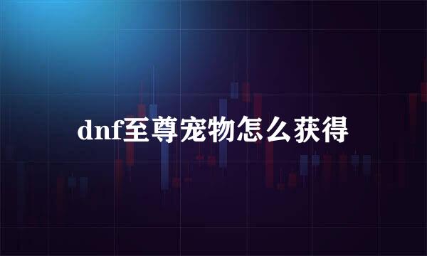 dnf至尊宠物怎么获得