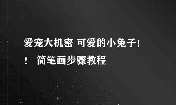 爱宠大机密 可爱的小兔子！！ 简笔画步骤教程