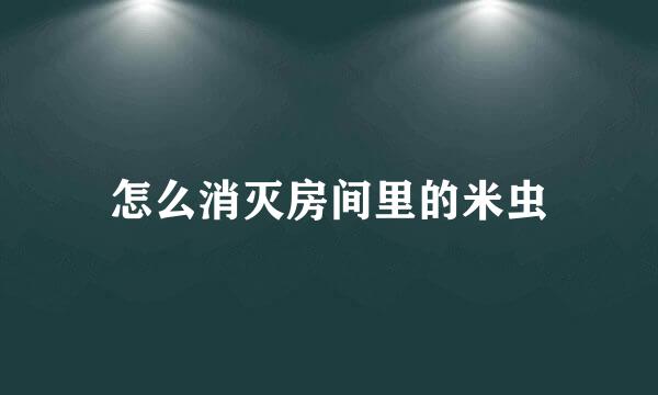 怎么消灭房间里的米虫