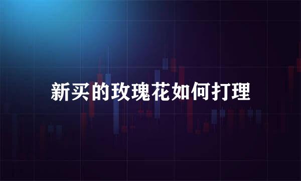 新买的玫瑰花如何打理