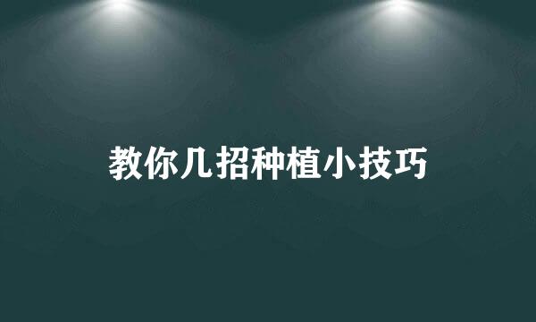 教你几招种植小技巧