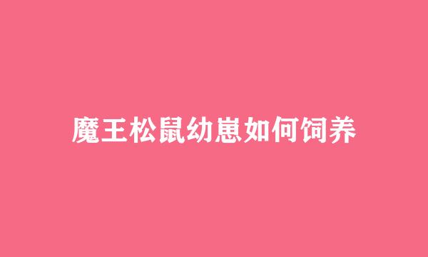 魔王松鼠幼崽如何饲养