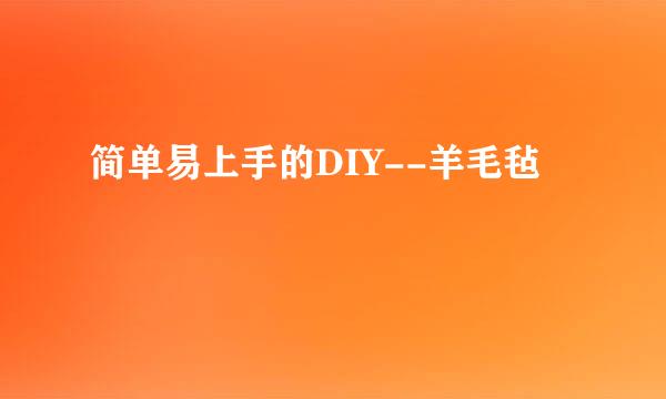 简单易上手的DIY--羊毛毡