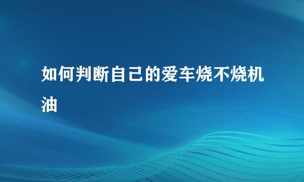 如何判断自己的爱车烧不烧机油