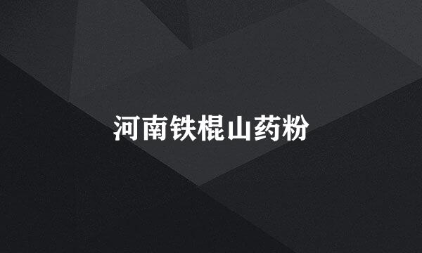 河南铁棍山药粉