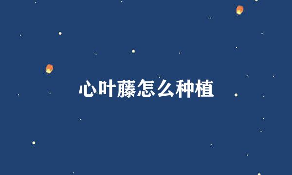 心叶藤怎么种植