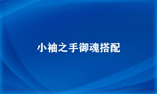 小袖之手御魂搭配