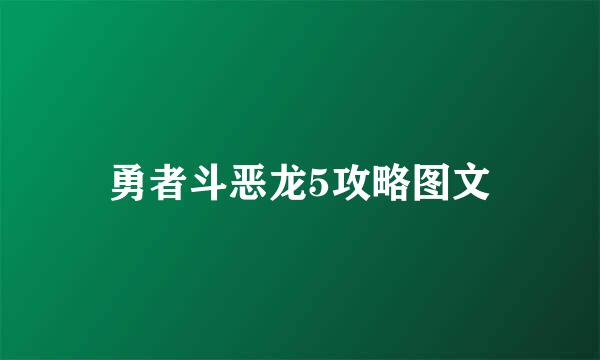 勇者斗恶龙5攻略图文