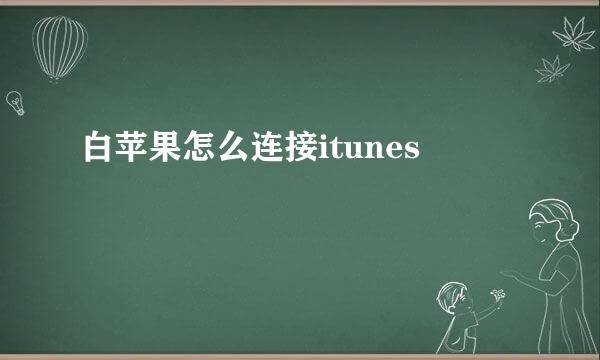 白苹果怎么连接itunes