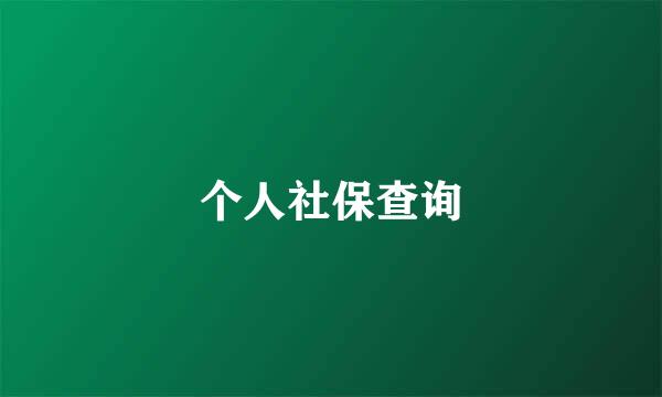 个人社保查询