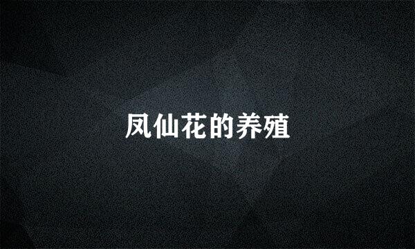 凤仙花的养殖