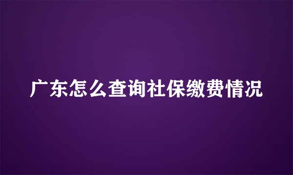广东怎么查询社保缴费情况