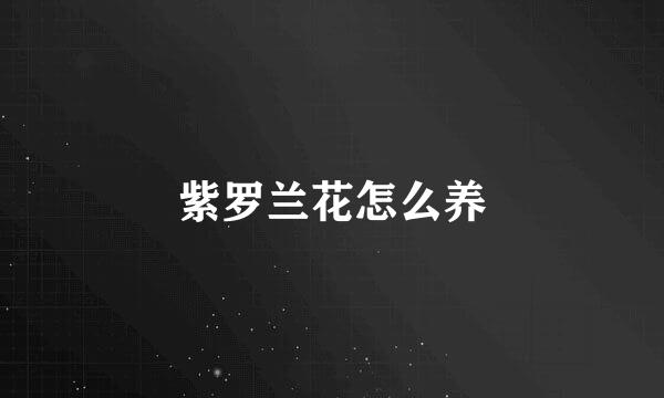 紫罗兰花怎么养