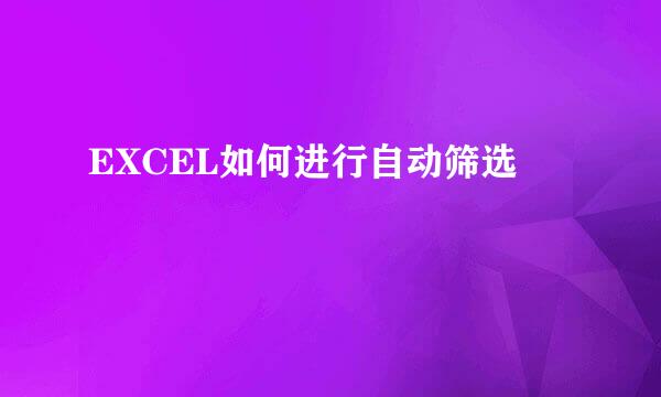 EXCEL如何进行自动筛选