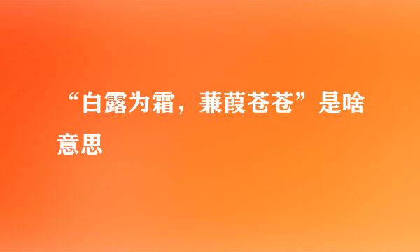 “白露为霜，蒹葭苍苍”是啥意思