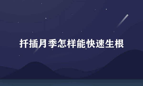 扦插月季怎样能快速生根