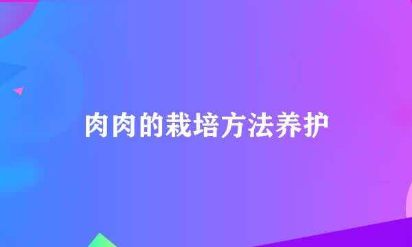 肉肉的栽培方法养护