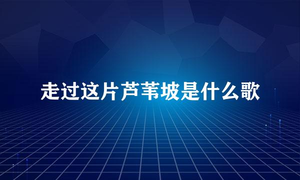 走过这片芦苇坡是什么歌
