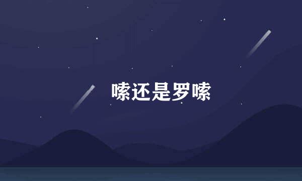 啰嗦还是罗嗦