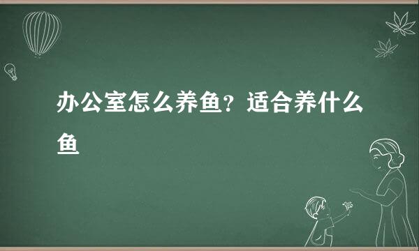 办公室怎么养鱼？适合养什么鱼