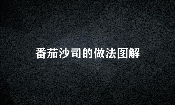 番茄沙司的做法图解