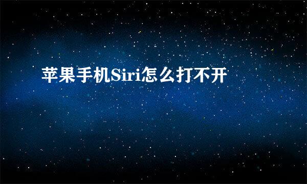 苹果手机Siri怎么打不开
