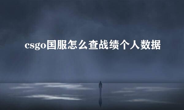 csgo国服怎么查战绩个人数据