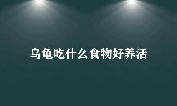 乌龟吃什么食物好养活