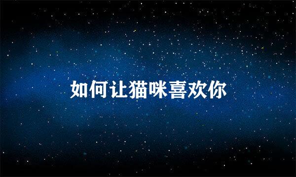 如何让猫咪喜欢你