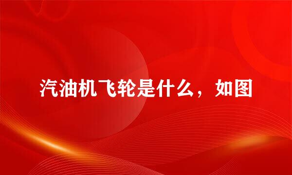 汽油机飞轮是什么，如图