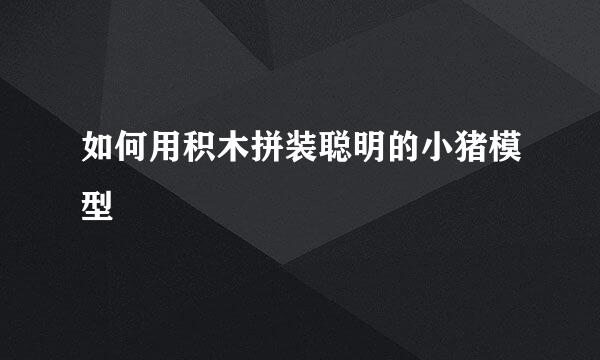 如何用积木拼装聪明的小猪模型