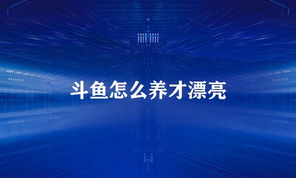 斗鱼怎么养才漂亮
