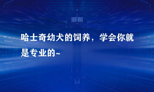 哈士奇幼犬的饲养，学会你就是专业的~