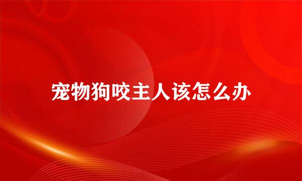 宠物狗咬主人该怎么办