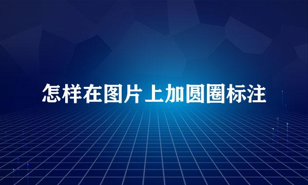 怎样在图片上加圆圈标注