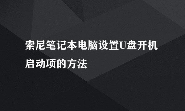 索尼笔记本电脑设置U盘开机启动项的方法