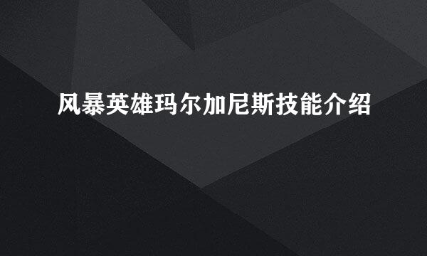 风暴英雄玛尔加尼斯技能介绍